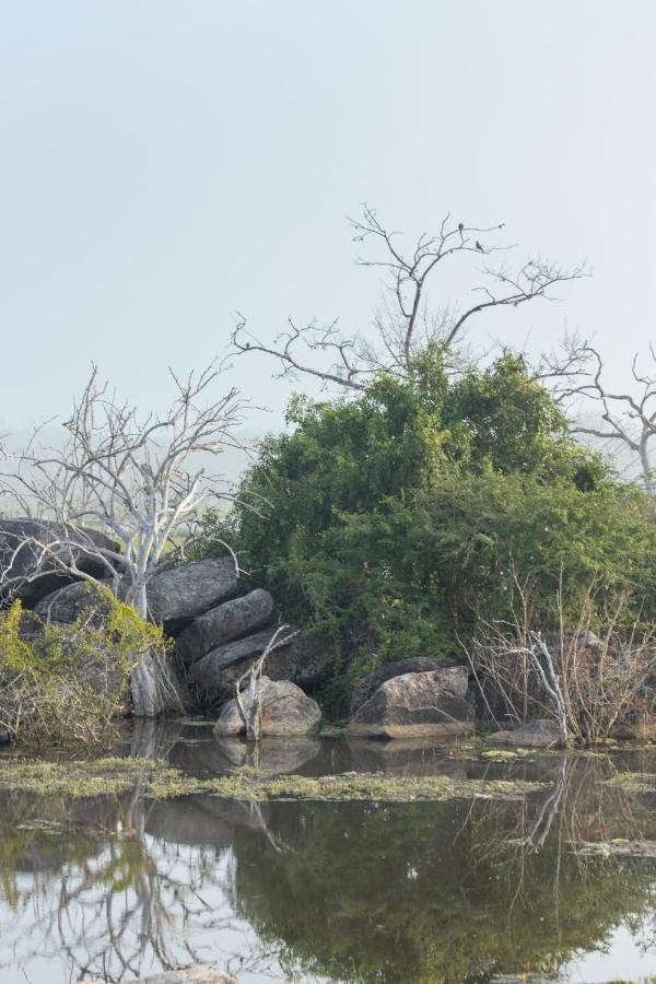 Koragaha Lodge - Yala Tissamaharama Esterno foto
